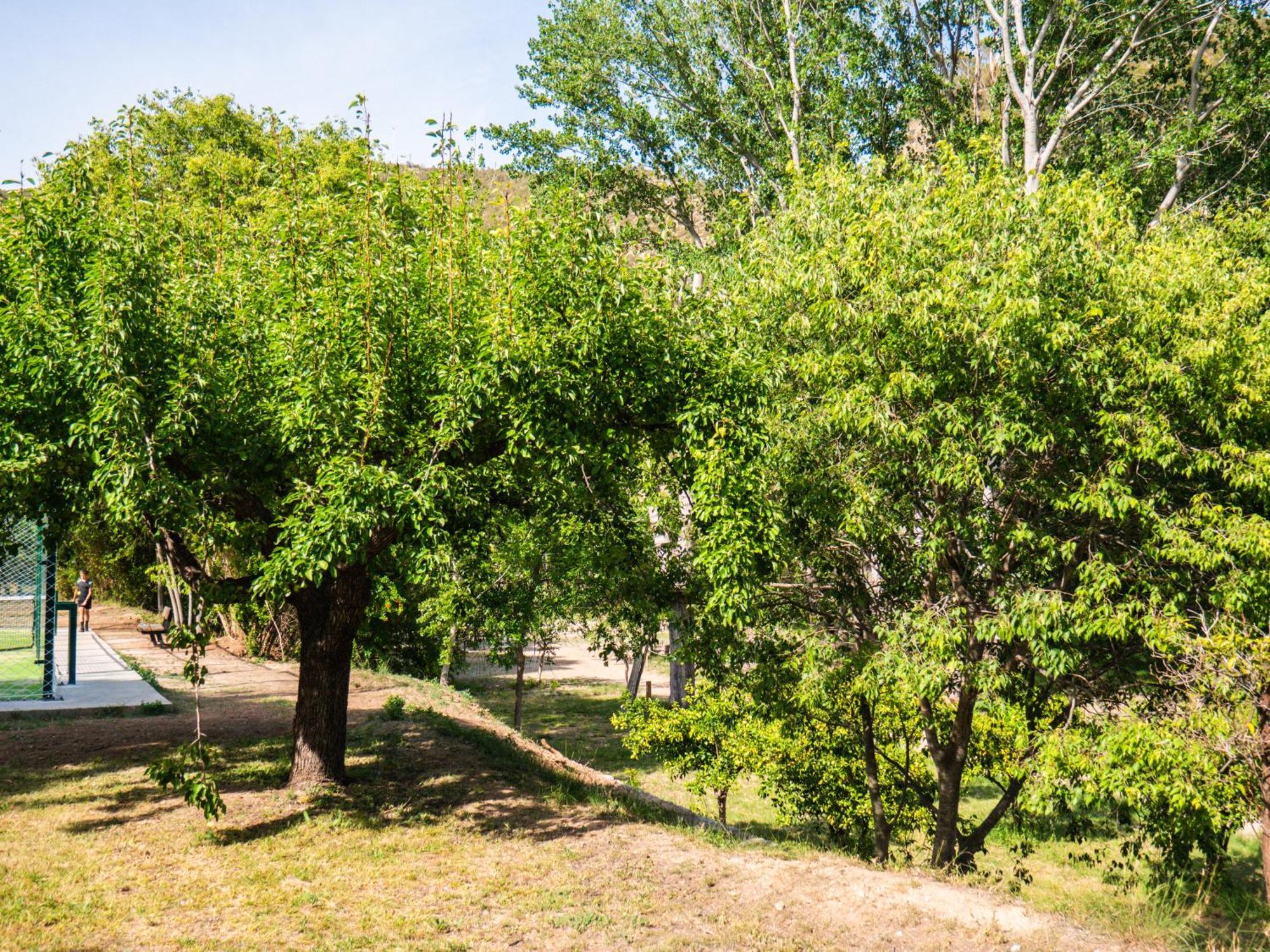 El Cerrao-Paunatura Sot de Chera Bagian luar foto